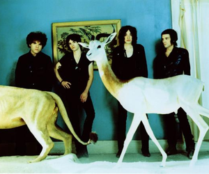 Living Things Living Things