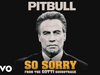 Pitbull - So Sorry (From the Gotti Soundtrack)