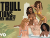 Pitbull - Options (DJ Noodles Remix) (Audio) (feat. Stephen Marley)