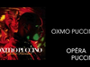 Oxmo Puccino - Sacré samedi noir