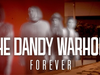 The Dandy Warhols - Forever (Official)