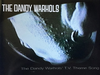 The Dandy Warhols' TV Theme Song (1995)