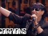 Scorpions - The Zoo (Live At Hellfest, 20.06.2015)