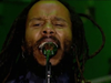 Ziggy Marley – See Dem Fake Leaders | Live at Exit Festival (2018)