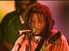 Stephen Marley - Jah Bless | Ziggy Marley & the Melody Makers LIVE! (2000)