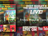 Ziggy Marley and the Melody Makers LIVE! (Full Concert Stream)