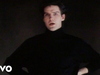 Lloyd Cole And The Commotions - Perfect Skin