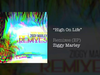 Ziggy Marley - High On Life (RUSL Remix)