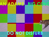 Ryan Adams - Do Not Disturb (Visualizer)