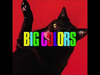Ryan Adams - Big Colors Promo
