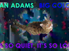 Ryan Adams - It's So Quiet, It's Loud (Visualizer)