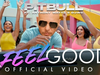 Pitbull - I Feel Good (feat. Anthony Watts & DJWS)