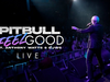 Pitbull - I Feel Good Live Performance