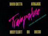 David Guetta & Afrojack - Trampoline (Cedric Gervais Remix) (feat. Missy Elliott, BIA & Doechii)