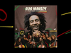 Turn Your Lights Down Low – Bob Marley and The Chineke! Orchestra (Visualiser)