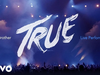 Avicii - Hey Brother (Live in Uncasville, True Tour 2014)