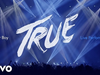 Avicii - Dear Boy (Live in Uncasville, True Tour 2014)