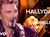 Johnny Hallyday - Gabrielle (Live Officiel Bercy 2003)