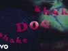 The Cure - Shake Dog Shake (Live At Zenith / Visualiser)