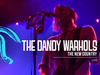 The Dandy Warhols - The New Country (Live in Sydney)