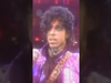 On this day in 1982, Prince unleashed his multi-platinum album 1999, forever changing pop music.
