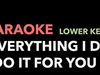 Bryan Adams - (Everything I Do) I Do It For You (Karaoke Version / Lower Key)