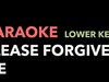 Please Forgive Me - Bryan Adams (Karaoke version - lower key)