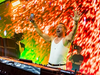 David Guetta & Hypaton - Walked Away (Live Performance @ Tomorrowland 2025)