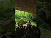 John Butler Trio - Did an incredibly special small show in a Cavern with all you beautiful people
