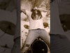 Rob Zombie - The beautiful scream for you!