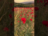 Axel Bauer - Je m'arrête devant cet océan rouge de coquelicots, fragiles et puissants sur leurs fils d'air